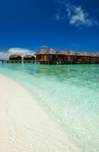 Tropisk Strand Lyckliga Livsstil Vit Sand Blå Himmel Och Kristallklart — Stockfoto
