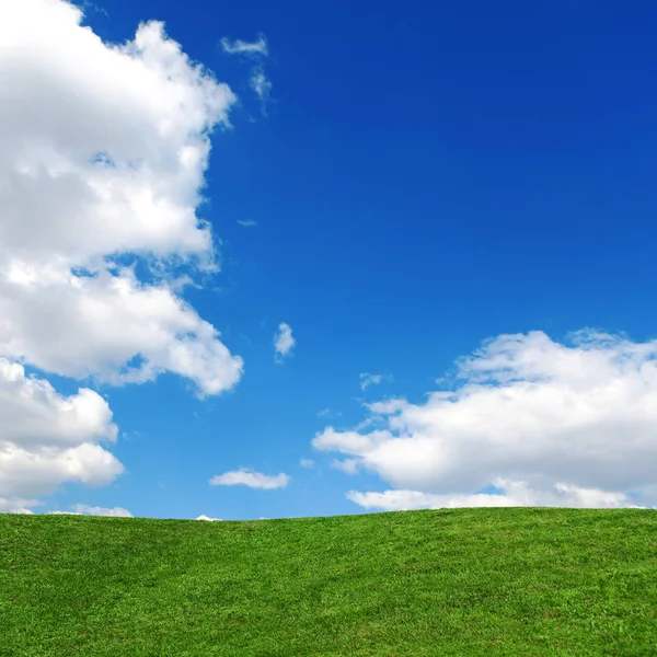 Paesaggio del campo di erba nella luminosa giornata di sole. Natura bellezza indietro — Foto Stock