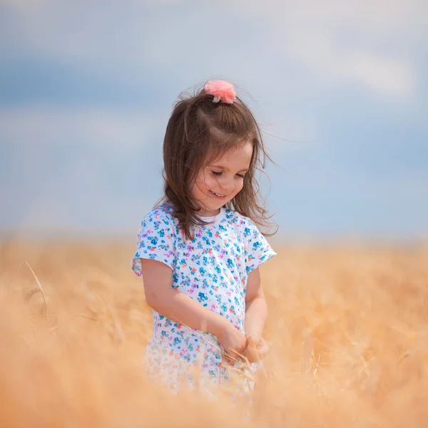Happy girl walking in golden wheat, enjoying the life in the field. Nature beauty, blue sky and field of wheat. Family outdoor lifestyle. Freedom concept. Cute little girl in summer field — Stock Photo, Image