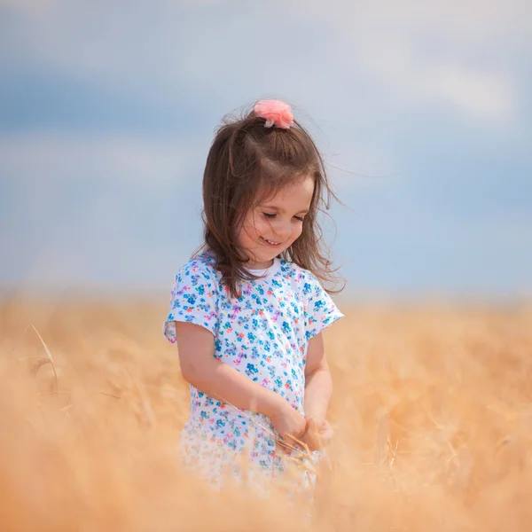 Ragazza felice che cammina nel grano dorato, godendo la vita nel campo. Bellezza della natura, cielo azzurro e campo di grano. Stile di vita familiare all'aperto. Il concetto di libertà. Carino bambina nel campo estivo — Foto Stock