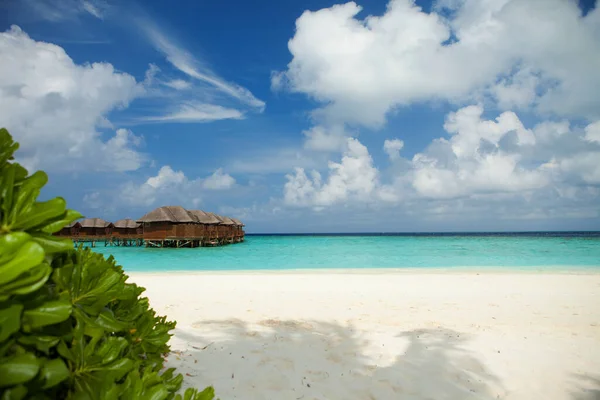Tropisk Strand Vit Sand Blå Himmel Och Kristallklart Hav Tropisk — Stockfoto