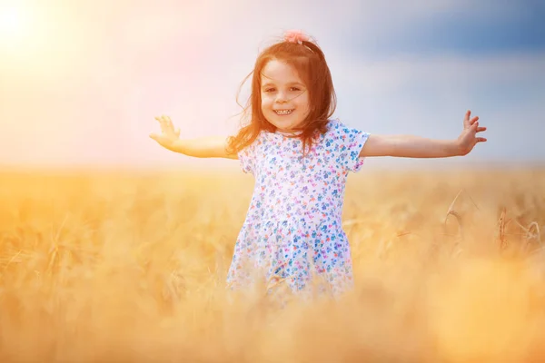 快乐的女孩走在金黄的麦田里 享受田里的生活 大自然的美丽 蓝天和麦田 家庭户外生活方式 自由概念 夏天田里可爱的小女孩 — 图库照片