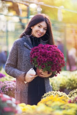 Genç ve güzel bir kadın açık marketten ya da dükkandan çiçek alıyor. Renkli çiçek arka planlı güzel doğa sahnesi, sonbahar mevsiminde sarı ve pembe çiçekler. Sonbahar açık hava yaşam tarzı