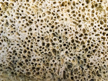 Soyut dairesel Traverten taş desen arka plan 