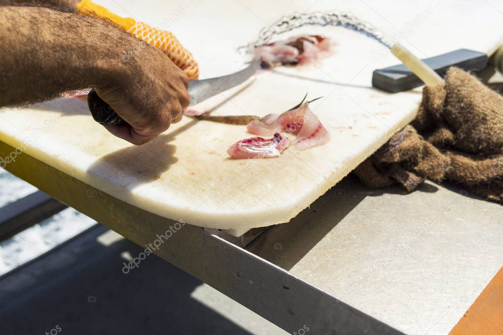 Fisherman on ship preparing white saltwater fish on cutting board.