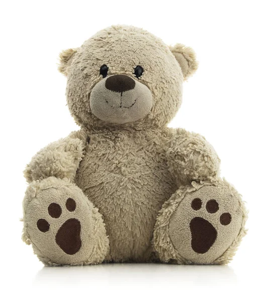 Isolated Teddy Bear Sitting White Background — Stock Photo, Image