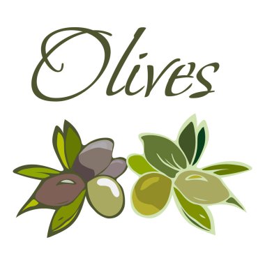 Lezzetli sebzeler Illustration. Beyaz bir arka plan üzerinde vektör zeytin izole