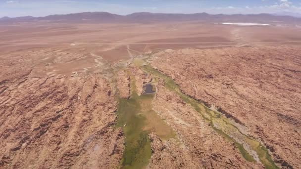 Foto aerea di Yamas al giardino Mallcu - Bolivia . — Video Stock