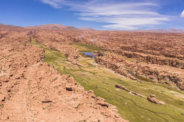 Luftaufnahme von Yamas im Mallcu-Garten - im Süden Boliviens. — Stockfoto