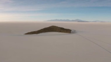 Uyuni 'deki Incahuasi Adası' nda. Bolivya 'nın güneyi.