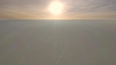 Uyuni 'deki Incahuasi Adası' nda. Bolivya 'nın güneyi.