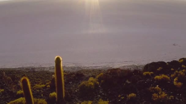 Ilha Incahuasi aérea em Uyuni salar. Sul da Bolívia . — Vídeo de Stock