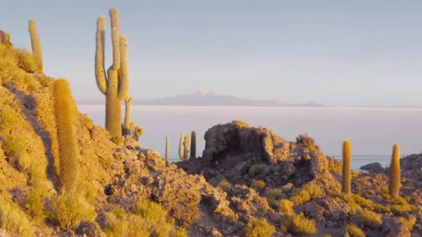 Antenne Incahuasi Island auf Uyuni salar. Südbolivien. — Stockvideo