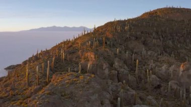 Uyuni 'deki Incahuasi Adası' nda. Bolivya 'nın güneyi.
