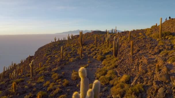 Letecký ostrov Incahuasi na salaru Uyuni. Jižně od Bolívie. — Stock video