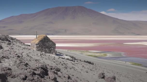 Red waters and flamingos at Colorada Lagoon — Stock Video