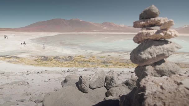 Panorama i Vita lagunen - Bolivia. — Stockvideo