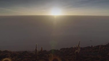 Uyuni salar tatlısındaki Incahuasi Adası 'nda gün doğumunda kaktüs ve manzara.