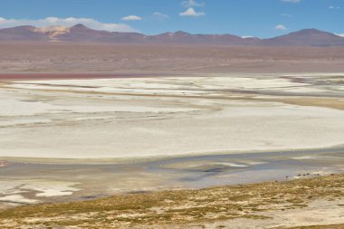 Bolivya 'nın güneyindeki Colorada Gölünde kırmızı sular ve flamingolar.