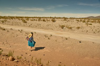 Güney Bolivya 'da yol kartpostalları