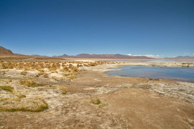 Polques kaplıcalarına bakıyor - Bolivya 'nın güneyi.