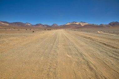 Polques kaplıcalarına bakıyor - Bolivya 'nın güneyi.