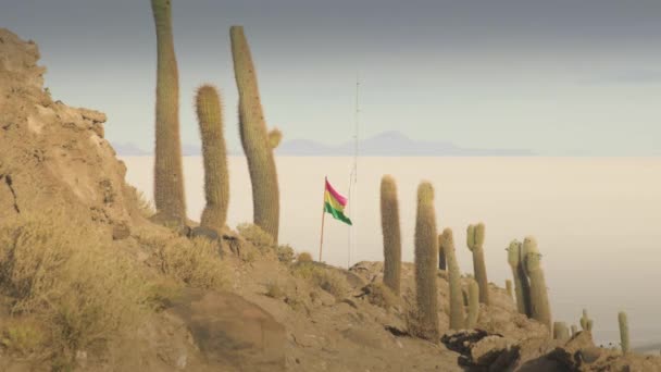 Soluppgången skott av captus och Uyuni salar öknen. Söder om Bolivia. — Stockvideo