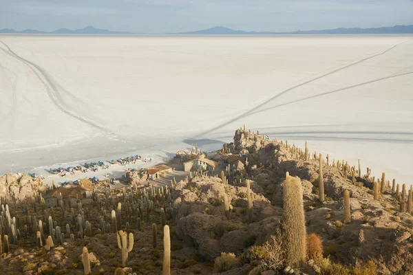 Captus y el desierto salar de Uyuni. Sur de Bolivia. — Foto de Stock