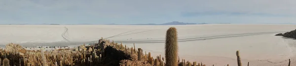 Pano de sol toma de captus y el desierto salar de Uyuni. Sur de Bolivia. — Foto de Stock