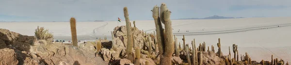 Soluppgångens piano av captus och Uyunis salar-öken. Söder om Bolivia. — Stockfoto
