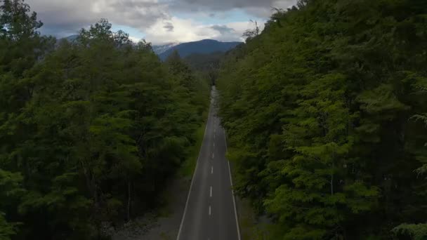 Aerial road and tall forest, Puerto Varas, Chile, South America. — 图库视频影像