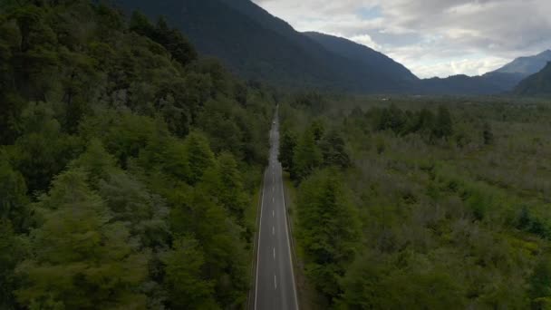 Carretera aérea y bosque alto, Puerto Varas, Chile, Sudamérica. — Vídeo de stock