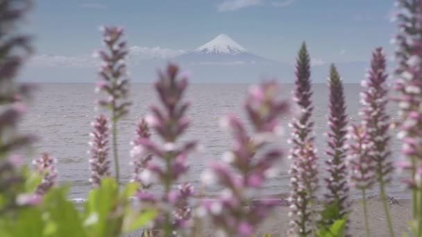 Пейзаж вулкана Осорно и озера Лланкиуэ в Пуэрто-Варас, Чили, Южная Америка. — стоковое видео