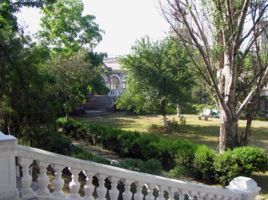 Arazinin önündeki çimenlik