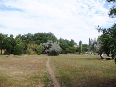 Park kompleksindeki çayırdan geçen yol