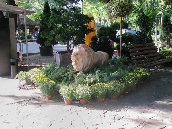 Lion Gypse Caché Dans Les Buissons Design Parc Intéressant — Photo