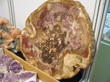 Mineral, yarı akik değerli taş, cilalı bölüm, yakın çekim
