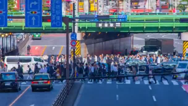Shinjuku Tokio Japón Abril 2018 Una Ciudad Ubicada Tokio Lapso — Vídeos de Stock