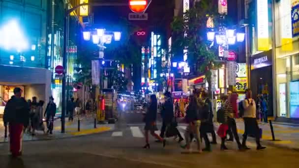 Shinjuku Tokyo Japonya 28Th Nisan 2018 Onun Tokyo Şehir Konum — Stok video