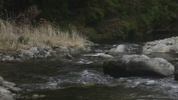 Chichibu Saitama Japón Abril 2018 Lugar Natural Saitama Cámara Canon — Vídeos de Stock