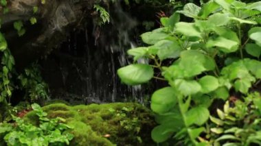 Kanda, Tokyo/Japonya - 18th Mayıs 2017: Onun Tokyo geleneksel bir konumda. fotoğraf makinesi: Canon Eos 7d