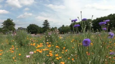 Tachikawa, Tokyo/Japonya - 16th Haziran 2017: Onun bir doğa yerde Tokyo. fotoğraf makinesi: Canon Eos 7d
