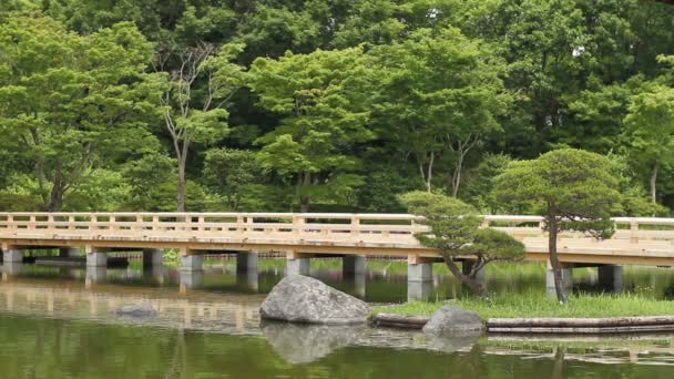 Tachikawa Tokyo Japan Juni 16Th 2017 Dess Ett Natur Läge — Stockvideo