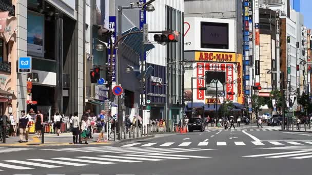 Shinjuku Tokio 2018 Czerwca Jego Położenie Miasta Tokio Kamery Canon — Wideo stockowe