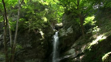 Chichibu, Saitama/Japonya - 28 Haziran 2017: Onun bir doğa yerde Tokyo. fotoğraf makinesi: Canon Eos 7d