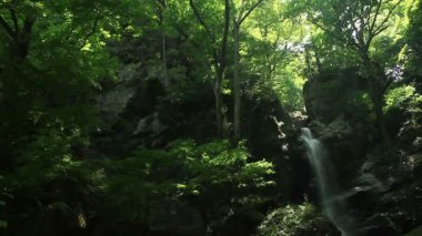Chichibu, Saitama/Japonya - 28 Haziran 2017: Onun bir doğa yerde Tokyo. fotoğraf makinesi: Canon Eos 7d