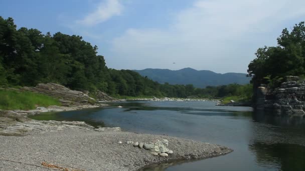 Chichibu Saitama Japonya Haziran 2017 Onun Saitama Doğa Konum Fotoğraf — Stok video