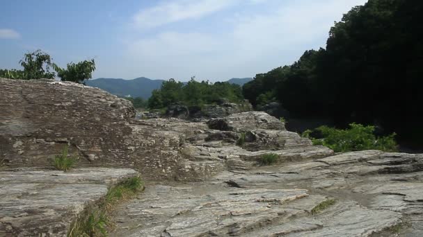 Chichibu Σαϊτάμα Ιαπωνία Ιουνίου 2017 Μια Φύση Τοποθεσία Στο Τόκιο — Αρχείο Βίντεο