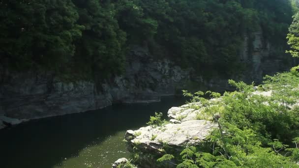 Chichibu Saitama Japão Junho 2017 Uma Localização Natural Saitama Câmera — Vídeo de Stock