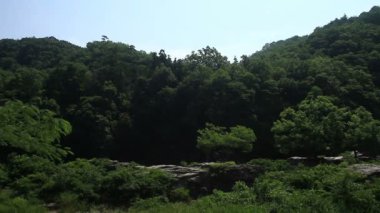 Chichibu, Saitama/Japonya - 26 Haziran 2017: Onun bir doğa yerde Tokyo. fotoğraf makinesi: Canon Eos 7d